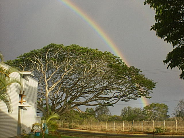 yard rainbow=180 pixels wide